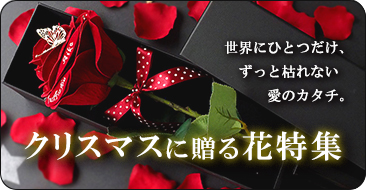 クリスマスに最高のプロポーズをする方へ、メリアルームメン特集